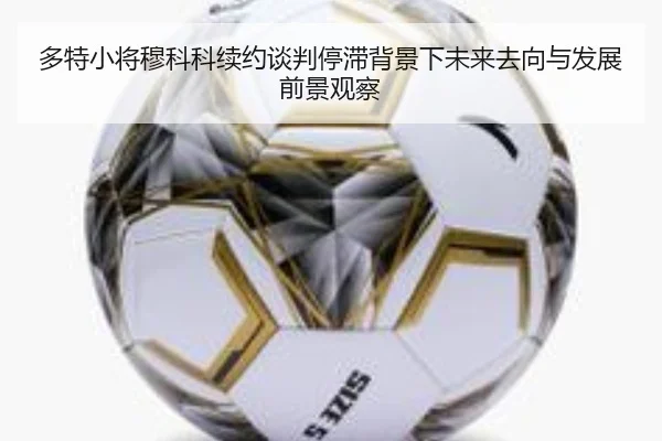 多特小将穆科科续约谈判停滞背景下未来去向与发展前景观察
