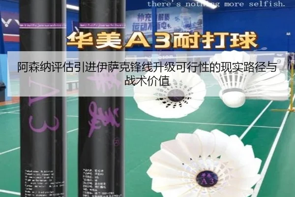 阿森纳评估引进伊萨克锋线升级可行性的现实路径与战术价值
